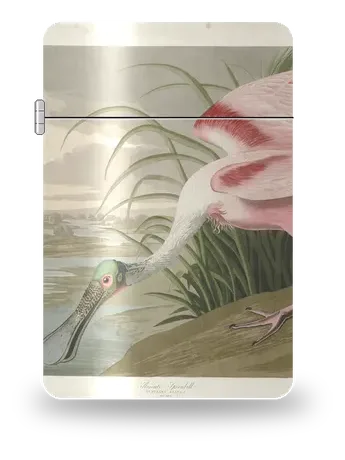 玫瑰琵鹭（约翰·詹姆斯·奥杜邦）艺术外壳
