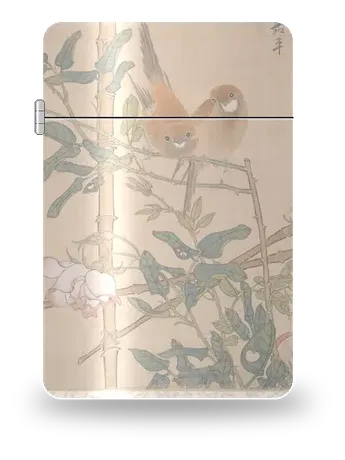 장미와 두 마리 새 (런보녠) 아트 케이스